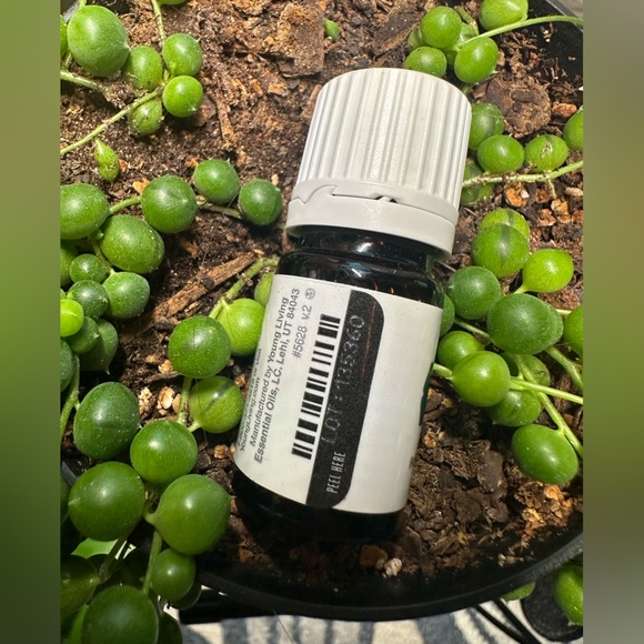 *Buy Now Priced* Young Living Peppermint Vitality 5ml Essential Oil - Picture 5 of 5